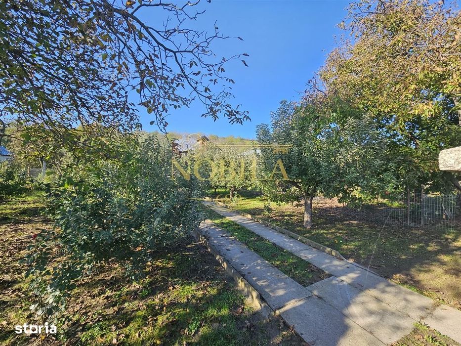 Casa Si Teren De Vanzare Borzesti-Onesti