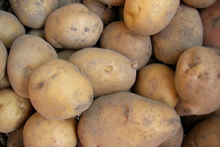Продам домашний картофель едовой