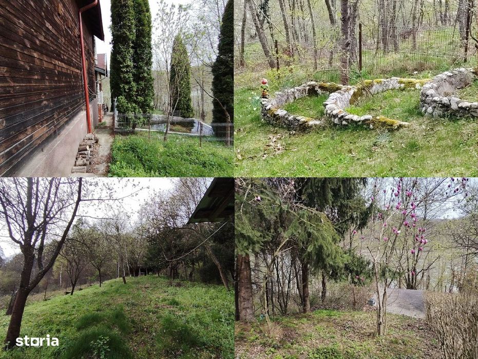 Proprietate de vacanta Valea Oltului - BREZOI