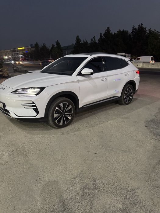 Byd chempion 2024/25