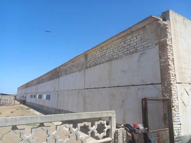 Noturar joy (binosi)