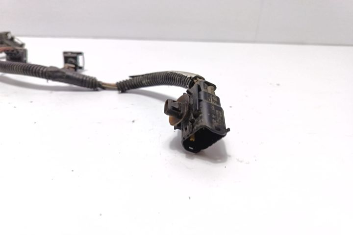 Cablaj injectoare Renault Scenic a 2-a generatie