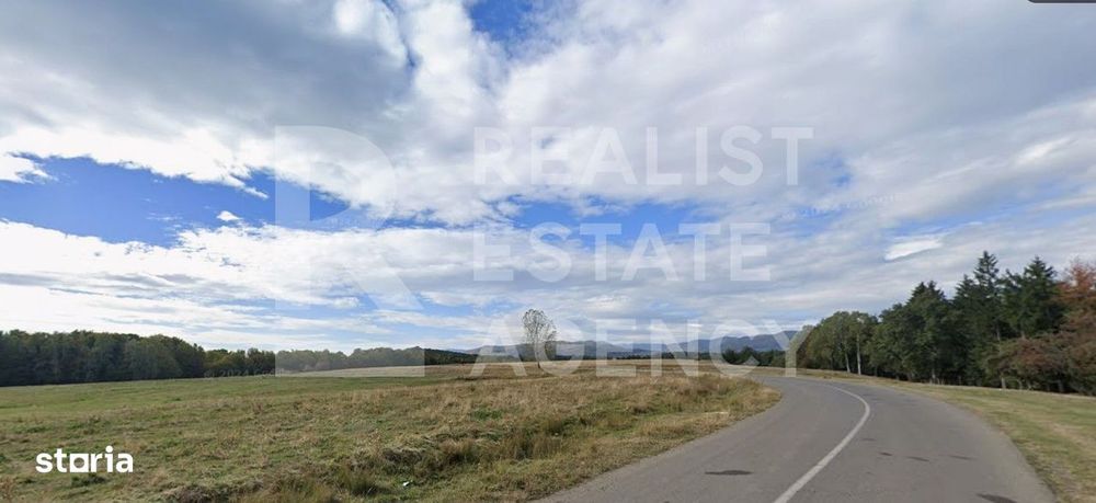 Teren intravilan 4,2 ha de vânzare| ideal investiție| POT 40%| Teișani