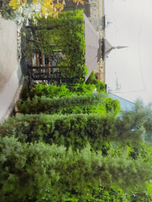 Мутахассис богбон хизмати