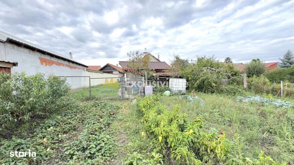 Casă 3 camere, Teren 3.263 mp, Str.Mărășești Nr.16 -Carei-Comision 0%