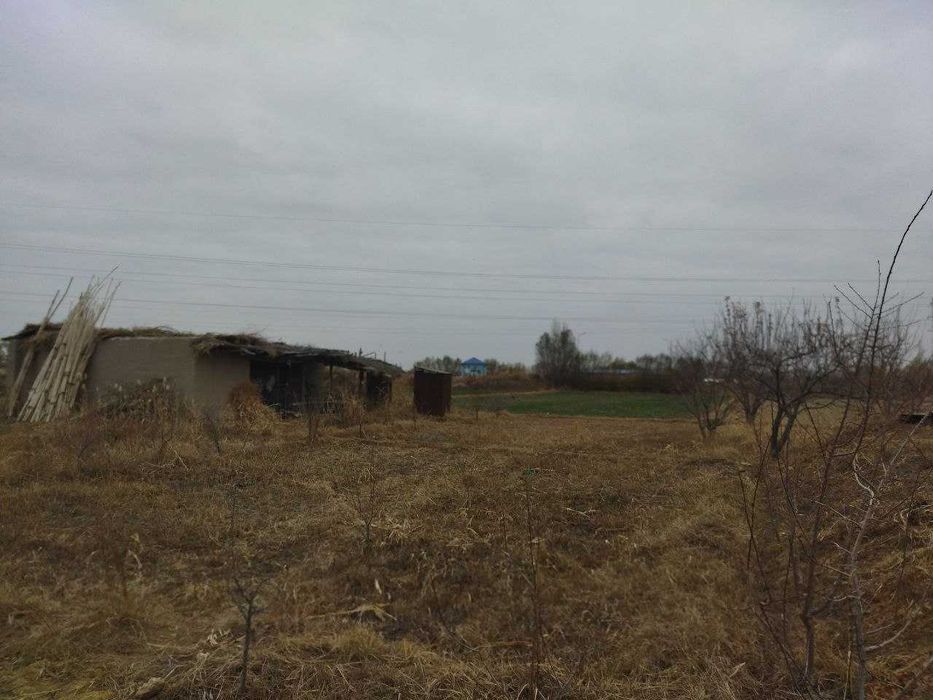 Муқимий овулда жер орын сатилади.