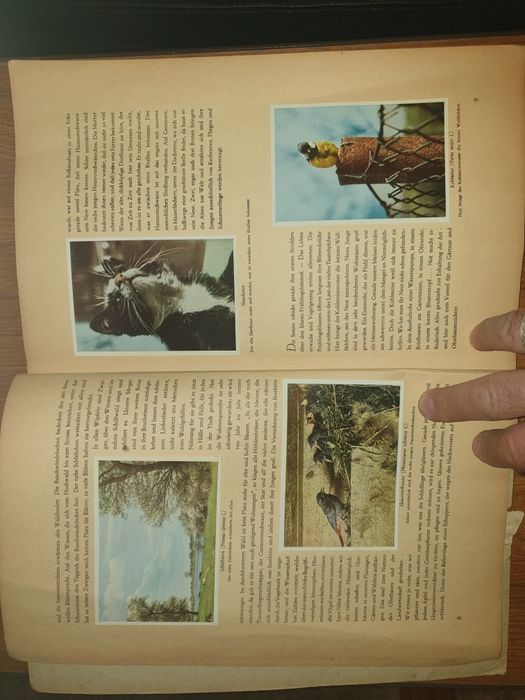 Helmut Handrick 1945 -cu camera foto prin  flora și fauna nativa