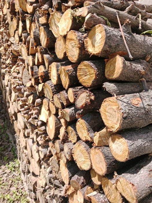 Дрова из фруктовых деревьев.Яблоко, персик, вишня