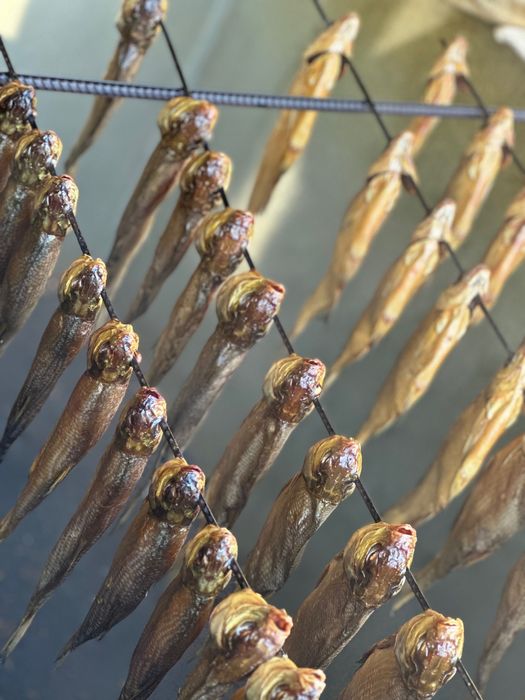 Рыба вяленая, копченая . Чехонь, Вобла, Лещ.