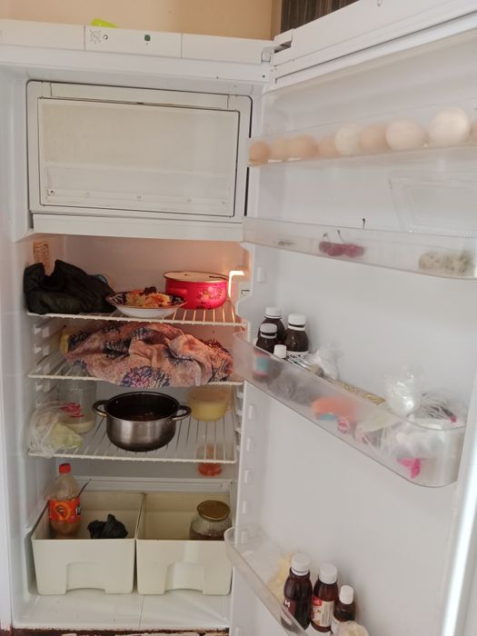 Muzlatgich ideal holatda turibdi