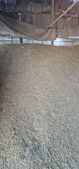 Pelete Lucerna 1,25 lei/kg