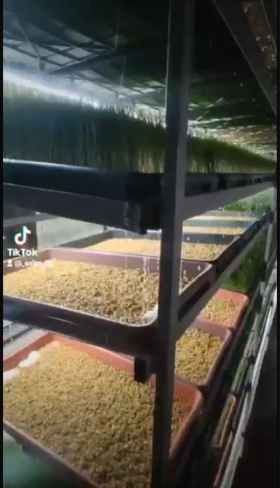 Бизнес в Караганде