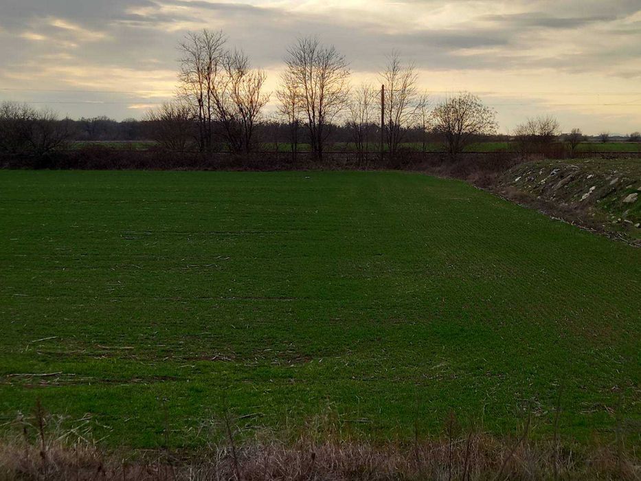 Продава се Парцел в с. Труд, Област Пловдив - 5700 кв.м за 50 €/кв.м - Снимка #4