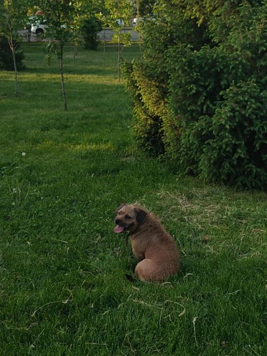 Вязка кабель 3 года