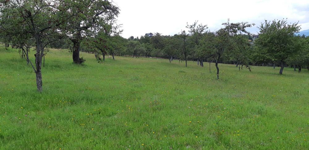 Teren intravilan BRAN-Bradul Inalt-Priveliste panoramica