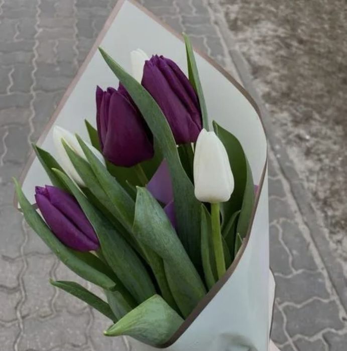 Тюльпаны с теплицы напрямую!