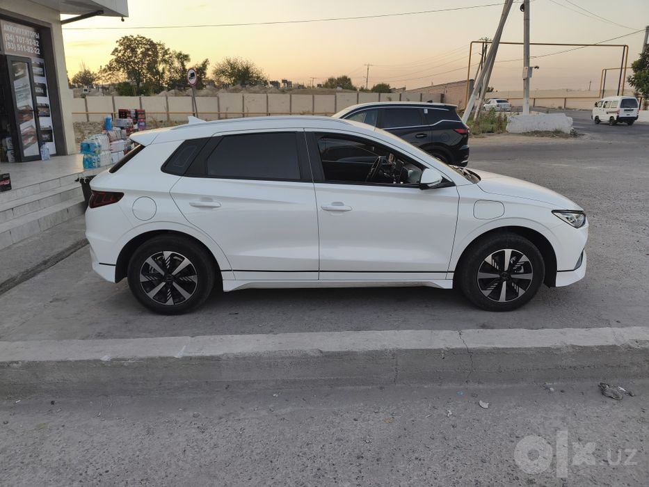 BYD e2 60минг пробег