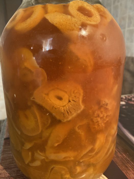 Целебный гриб веселка.