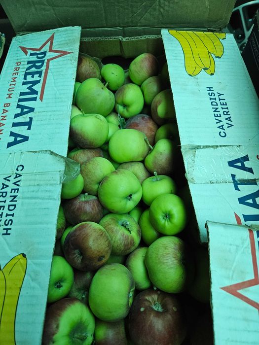 Продам Яблоки  сорта разные Апорт ,Васход максат  и.т.д