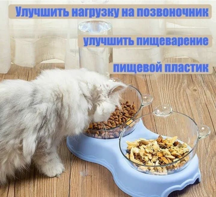 Миска для кошек и собак