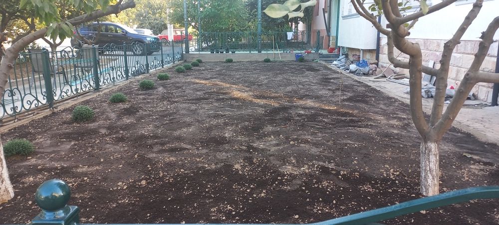 посев газон и семена газона gazon urugi газон уруги