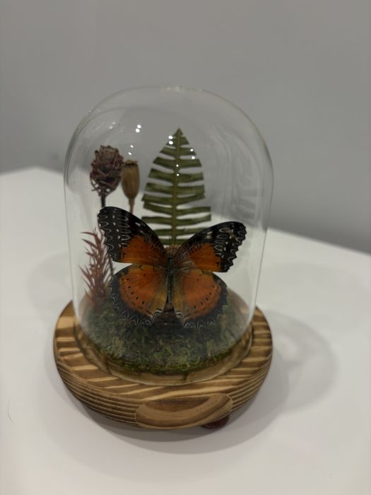 Бабочка в колбе ручная работа