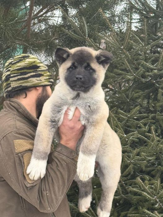 Детки готовы к переезду