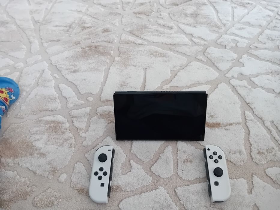 Nintendo switcholed