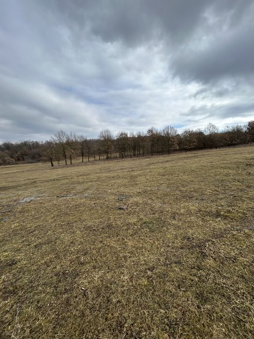 Teren de vanzare Nimigea de Jos, Taure