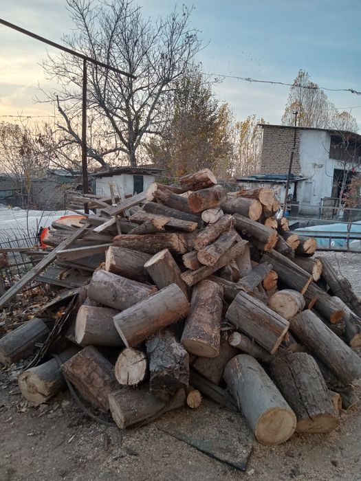 Oʻtin , yaxshi yonadigan quruq