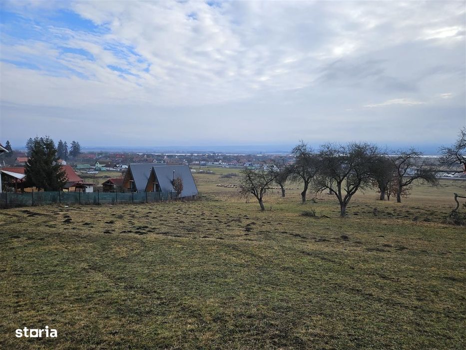 Teren 5000 mp la Bradu