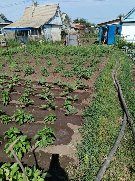 Продам дачу на 2-й дачной направо