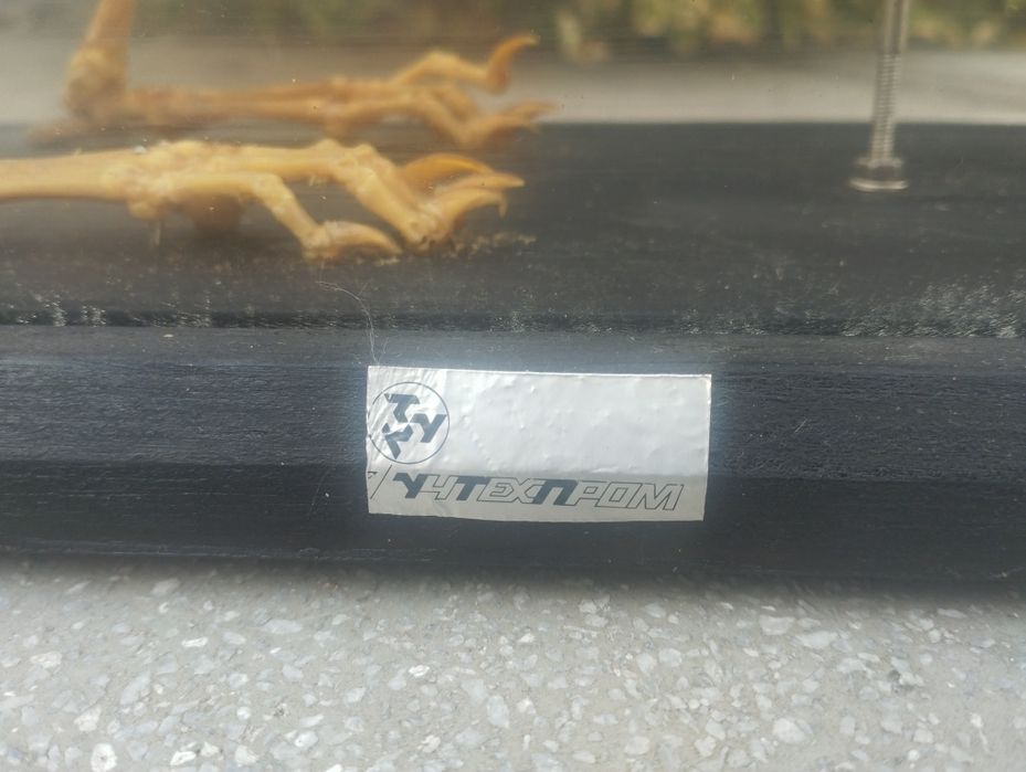 Соц Скелет на заек