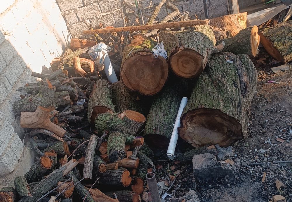 Пеньки, двова, ветки. (Урюк). Новый