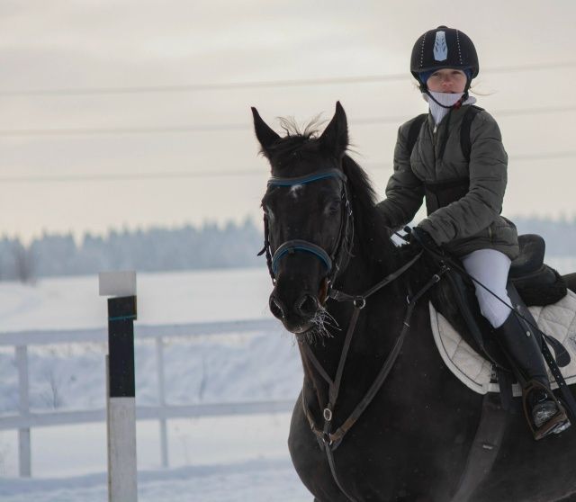 Ot minish mashg'uloti уроки верховая езда