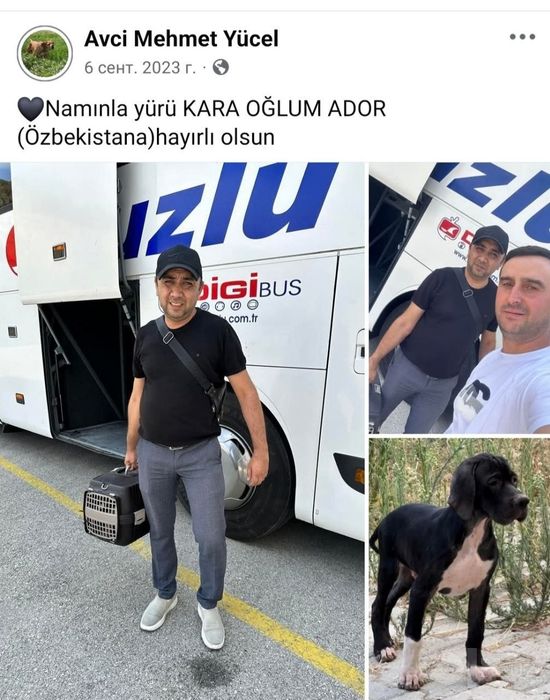 Овчи Кучук тозза Турция
