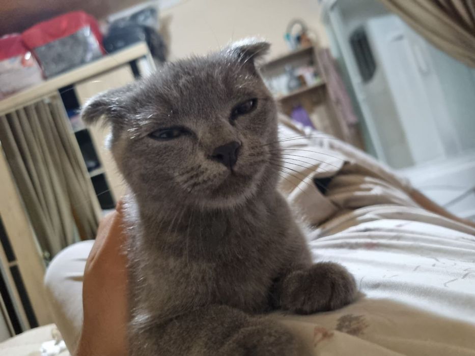 Kiyinish xonasida yalangoch qizlarning fotosuratlari