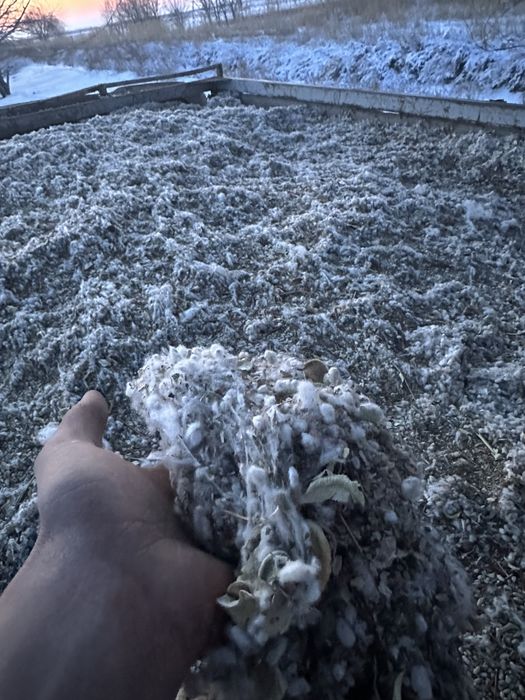 Қауашақ ,бар,Қошқар,Өгіз,бордақы малдарға