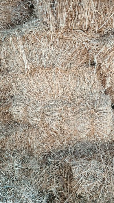 Продам сено шоп арпа прес