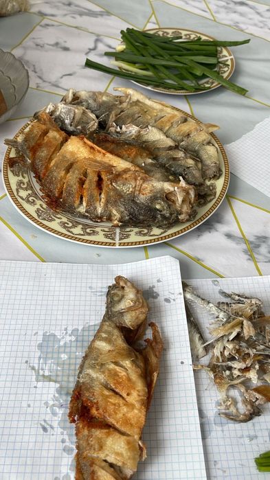 Рыба окунь с Алаколя свежие