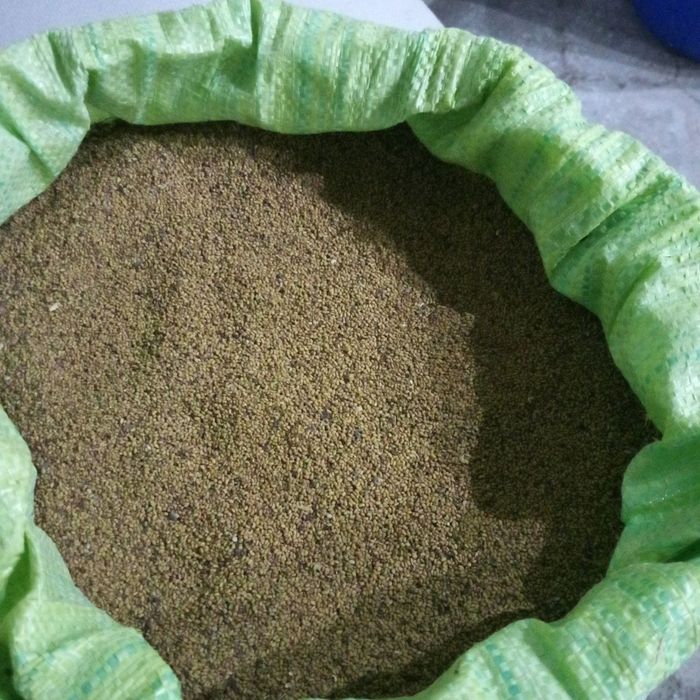 Беда уриги сотилади