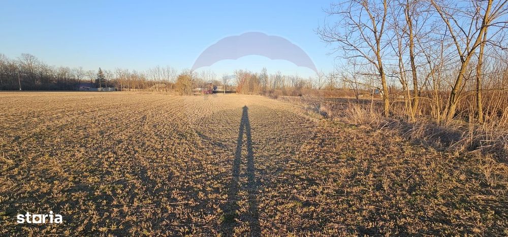 Teren 2,600mp Filipesti / Bacau