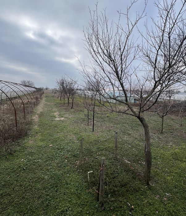 Vând Solar De Grădină 3.900 Ron