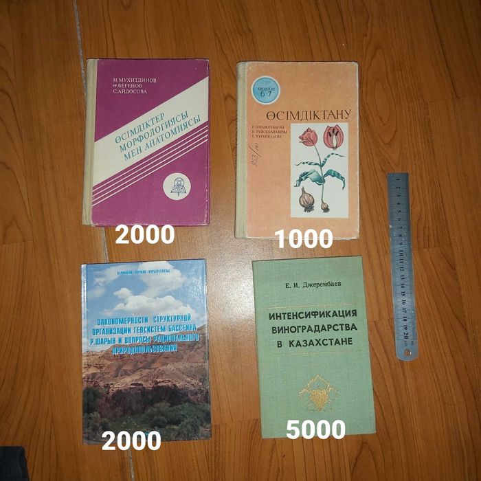 Букинист (кітаптар, книги)