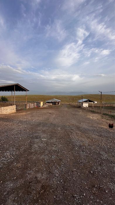 Фазенда для КРС и птицы