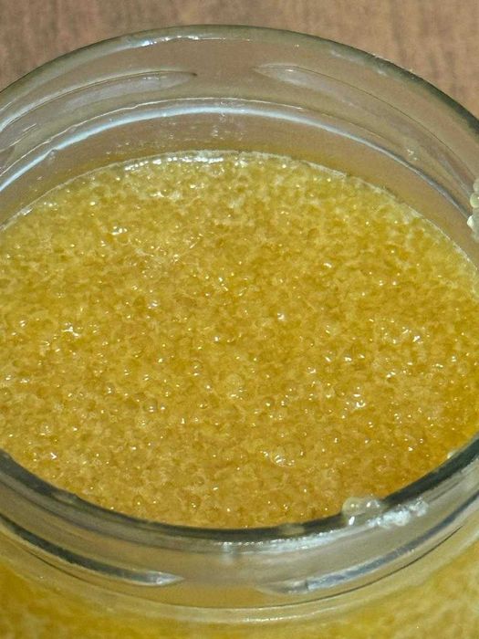 Шортан уылдырығы. Икра щуки.