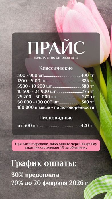 Тюльпаны оптом/розницу