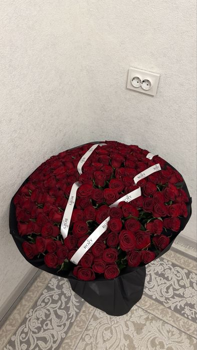 151 роза в хорошем состояние