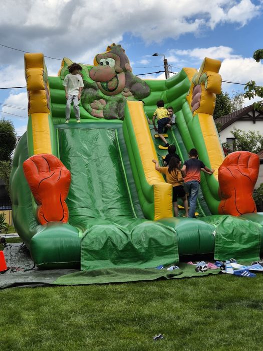 Tobogan, topogane idei onomastice copii zile de nastere