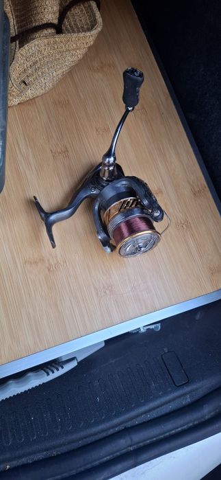 Mulineta daiwa laguna